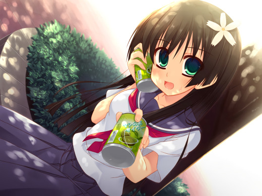 1164911 (a): :1920x1440